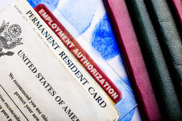 A U.S. permanent resident card and an employment authorization card