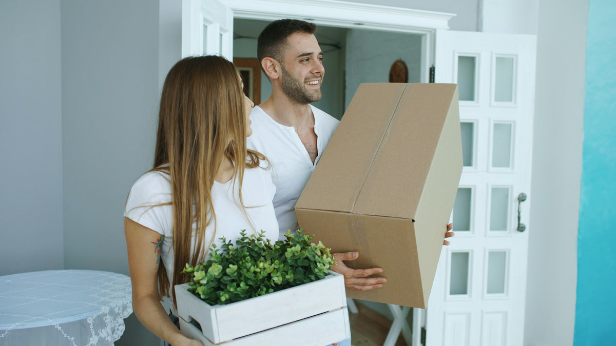 Smiling couple carrying a cardboard moving box and a plant into a new home